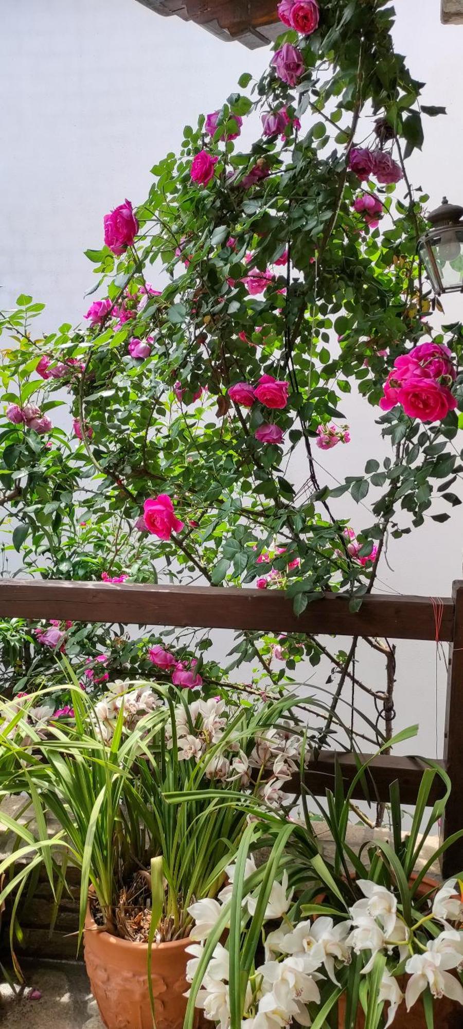 Mountain Breeze Sanctuary Villa Волос Екстериор снимка